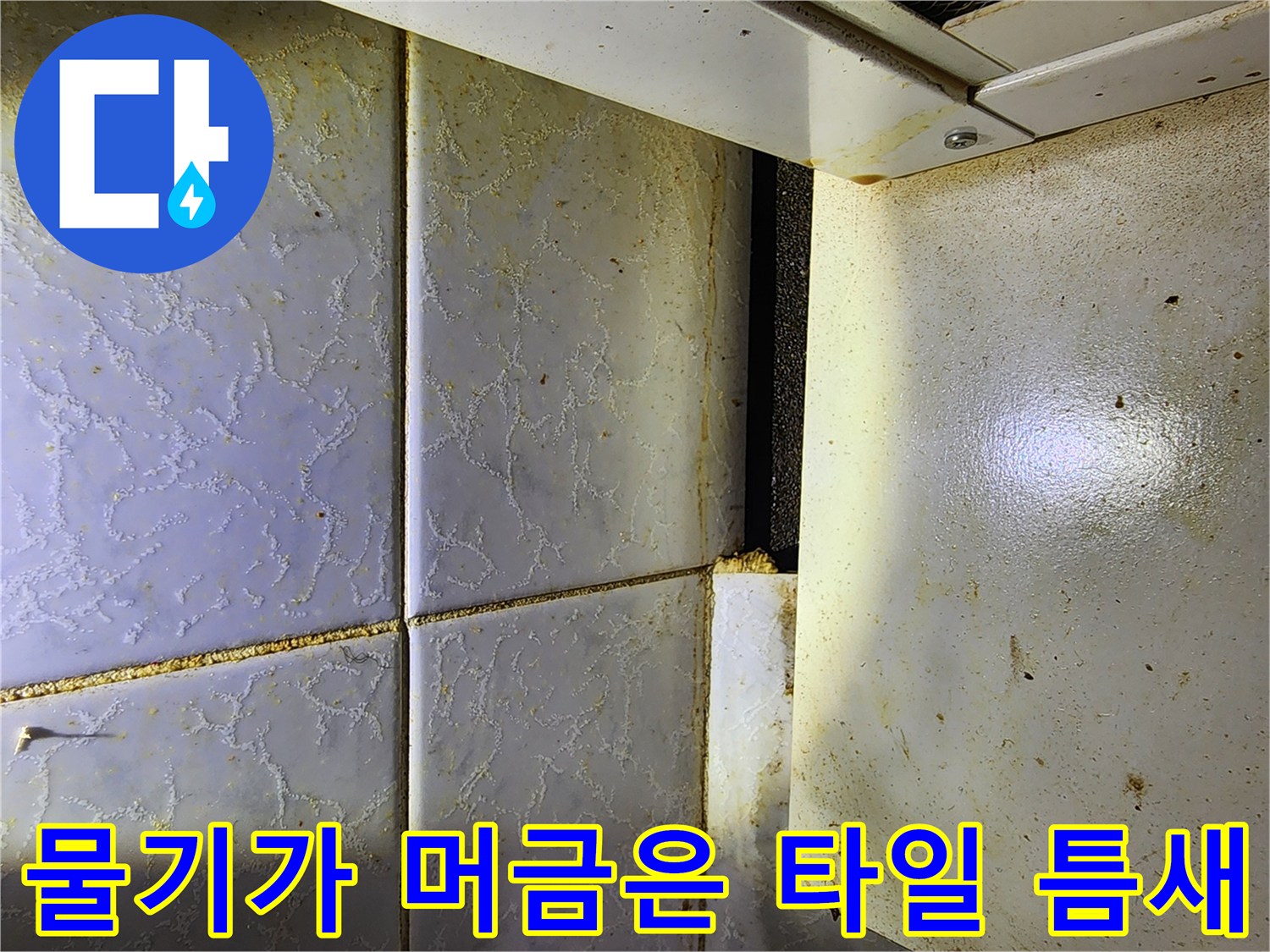 누수로 인해 습윤해진 보일러실 타일 줄눈 부위 상세