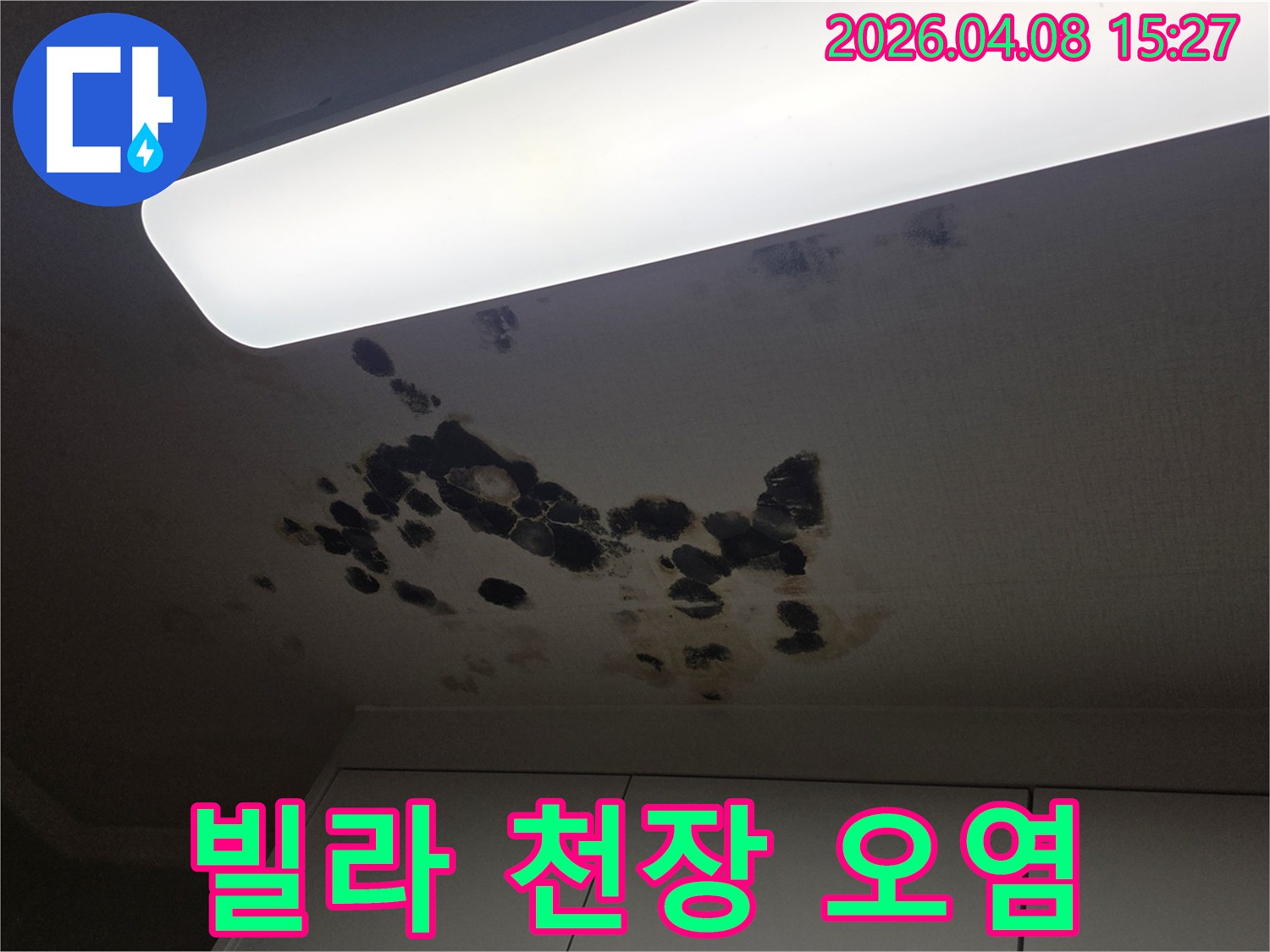 빌라 천장에 발생한-누수로 인한 심각한 오염과-검은 곰팡이가 번진 모습