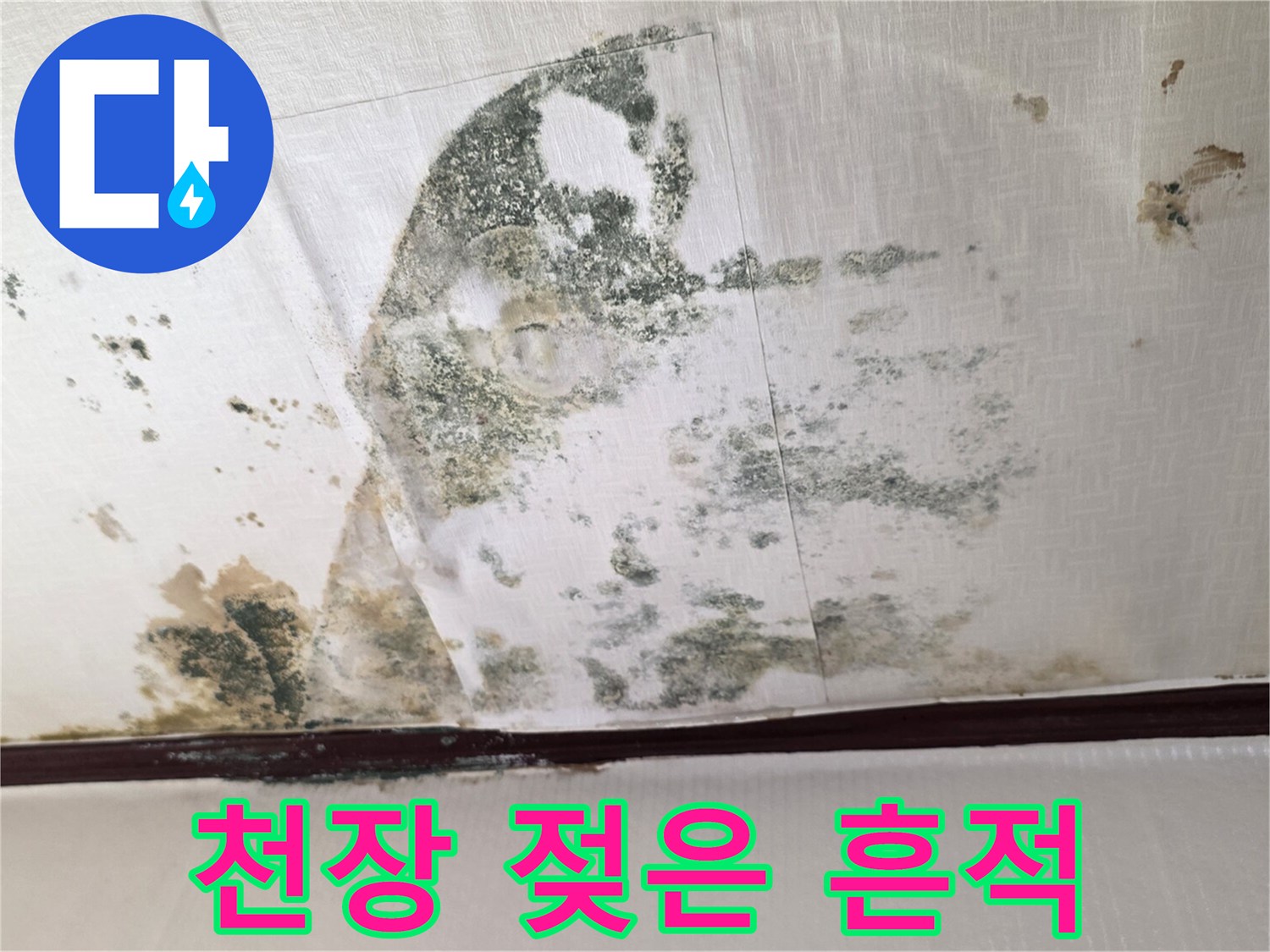 물샘 흔적이 남은 천장-곰팡이가 번진 벽지 상태