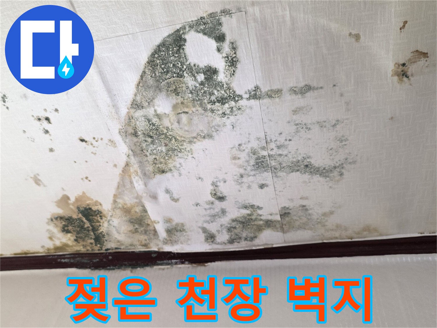 물에 젖어 변색되고 곰팡이가 번진 천장 벽면 사진