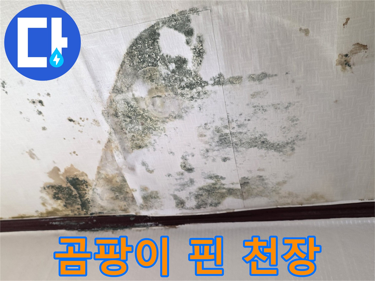 오염된 천장 벽지 - 누수 피해 부위 상세 촬영