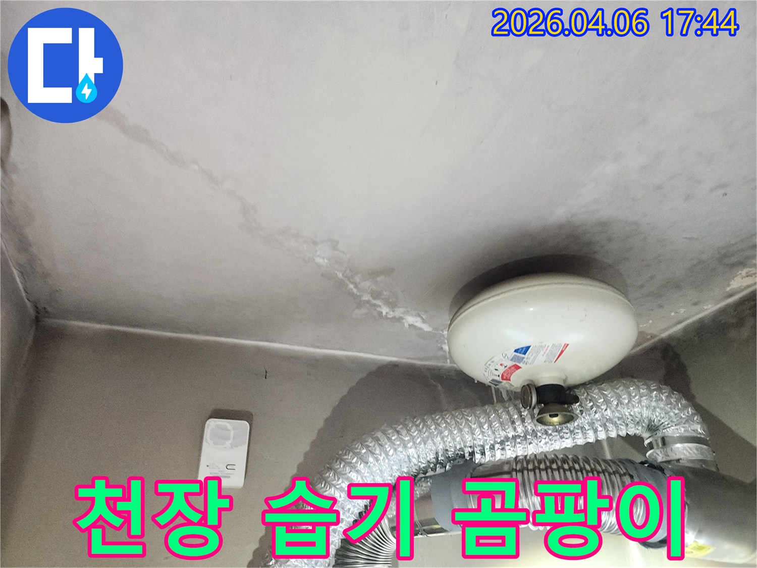 천장에-발생한-누수-흔적과-습기로-인한-곰팡이-우려가-있는-현장-사진입니다.