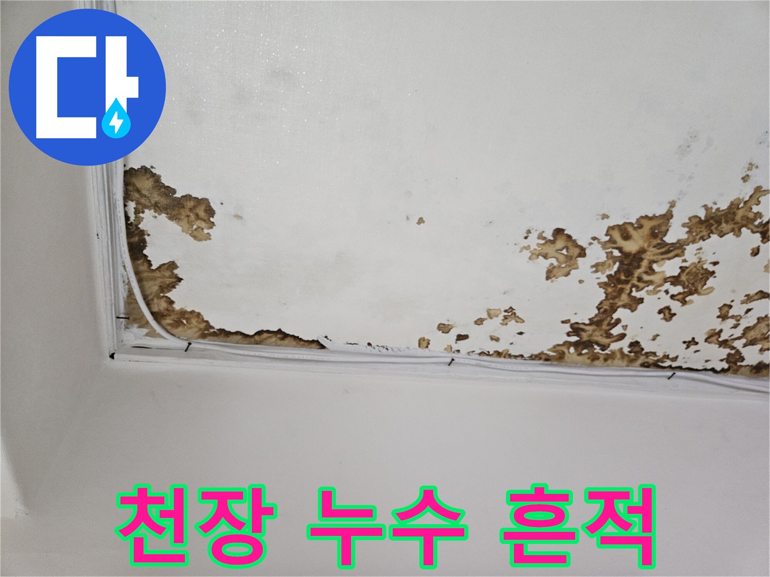 강동구 아파트 천장 벽지가 젖어 변색된 모습