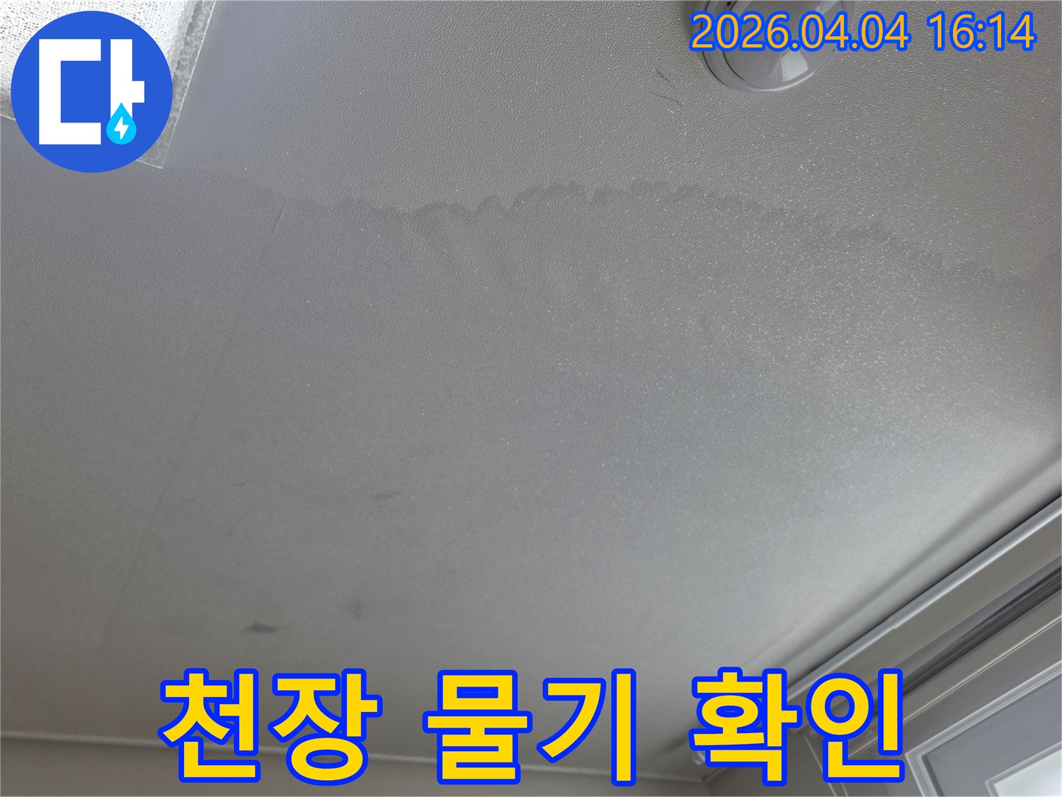 초기-누수-증상으로-천장에-물기가-번진-모습을-담은-사진