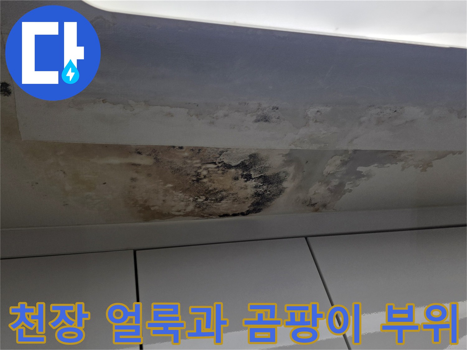 누수로 인해 오염된 천장 마감재-광범위한 변색 및 곰팡이 상태