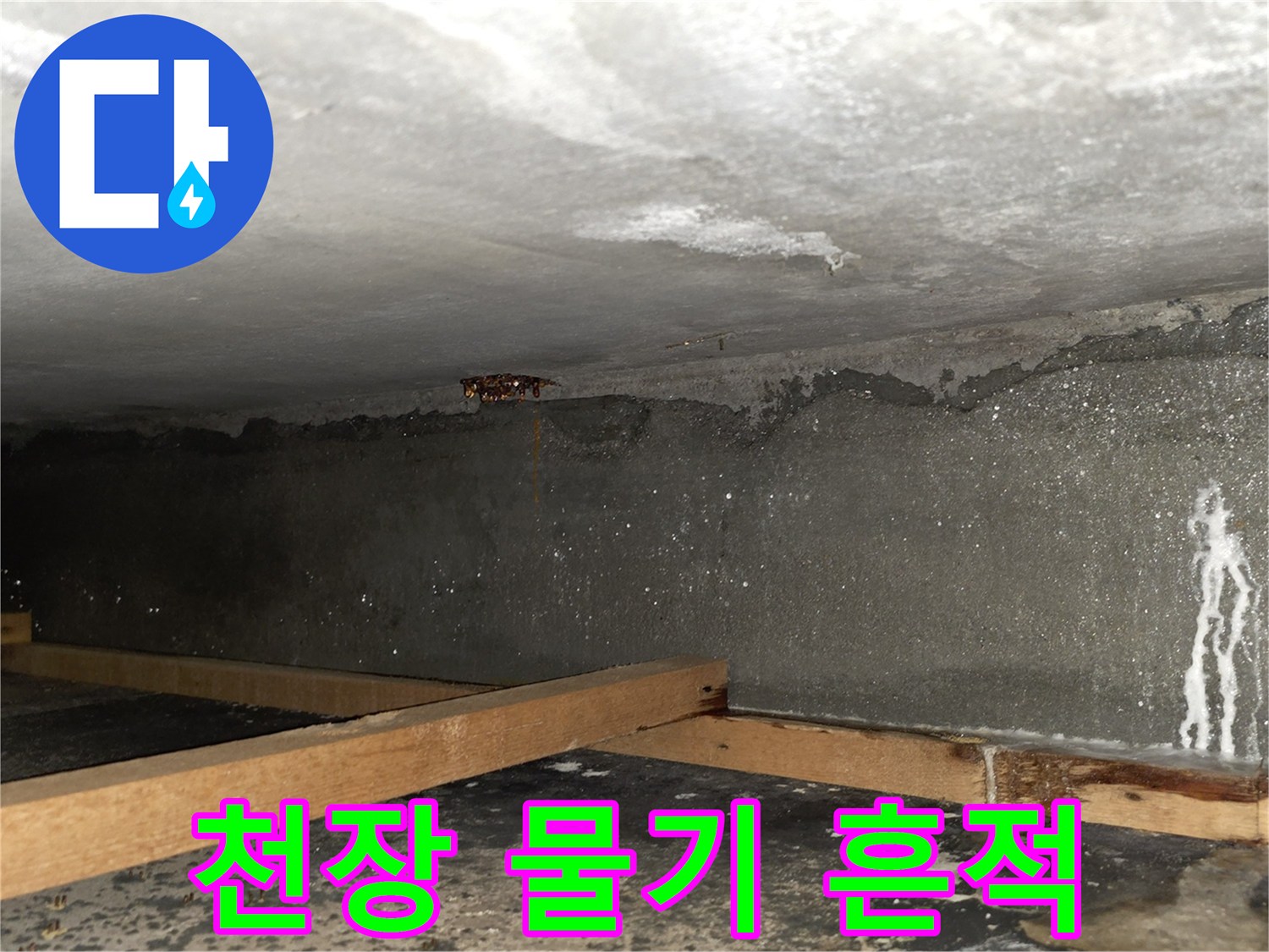 성남 중원구-아랫집 천장 내부의 습기와 물자국 상태