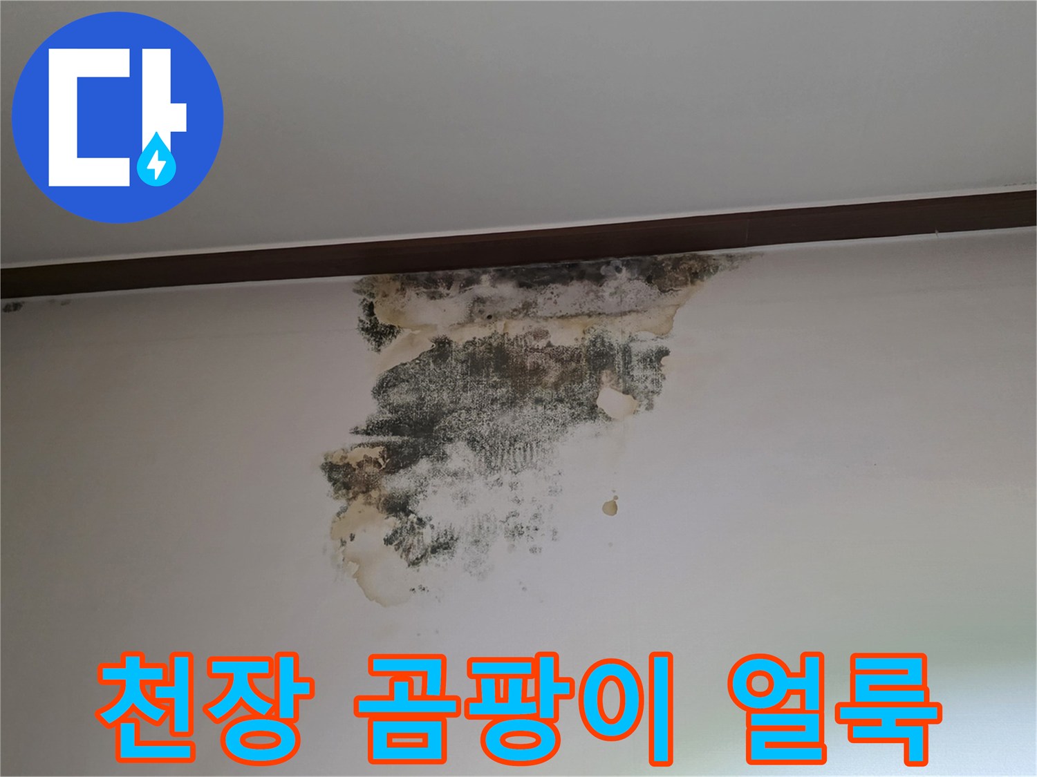 성남 중원구 아파트 천장 벽지 곰팡이 및 누수 흔적