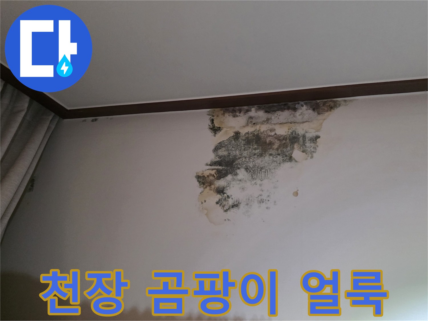 성남 중원구 아파트 천장 벽지에 발생한 곰팡이와 물자국 사진