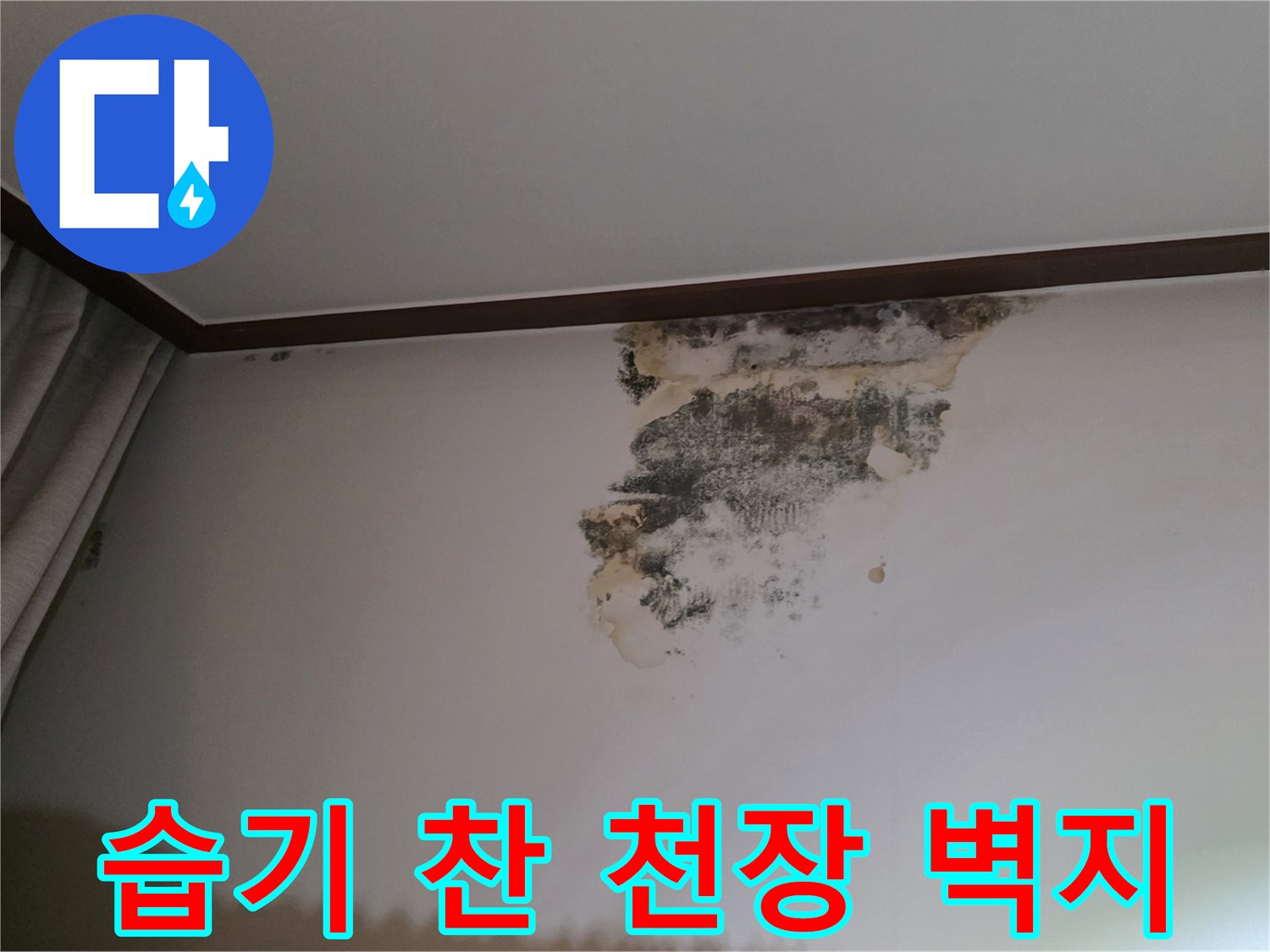 습기로-인해-부풀어오르고-곰팡이가-생긴-천장-벽지-표면