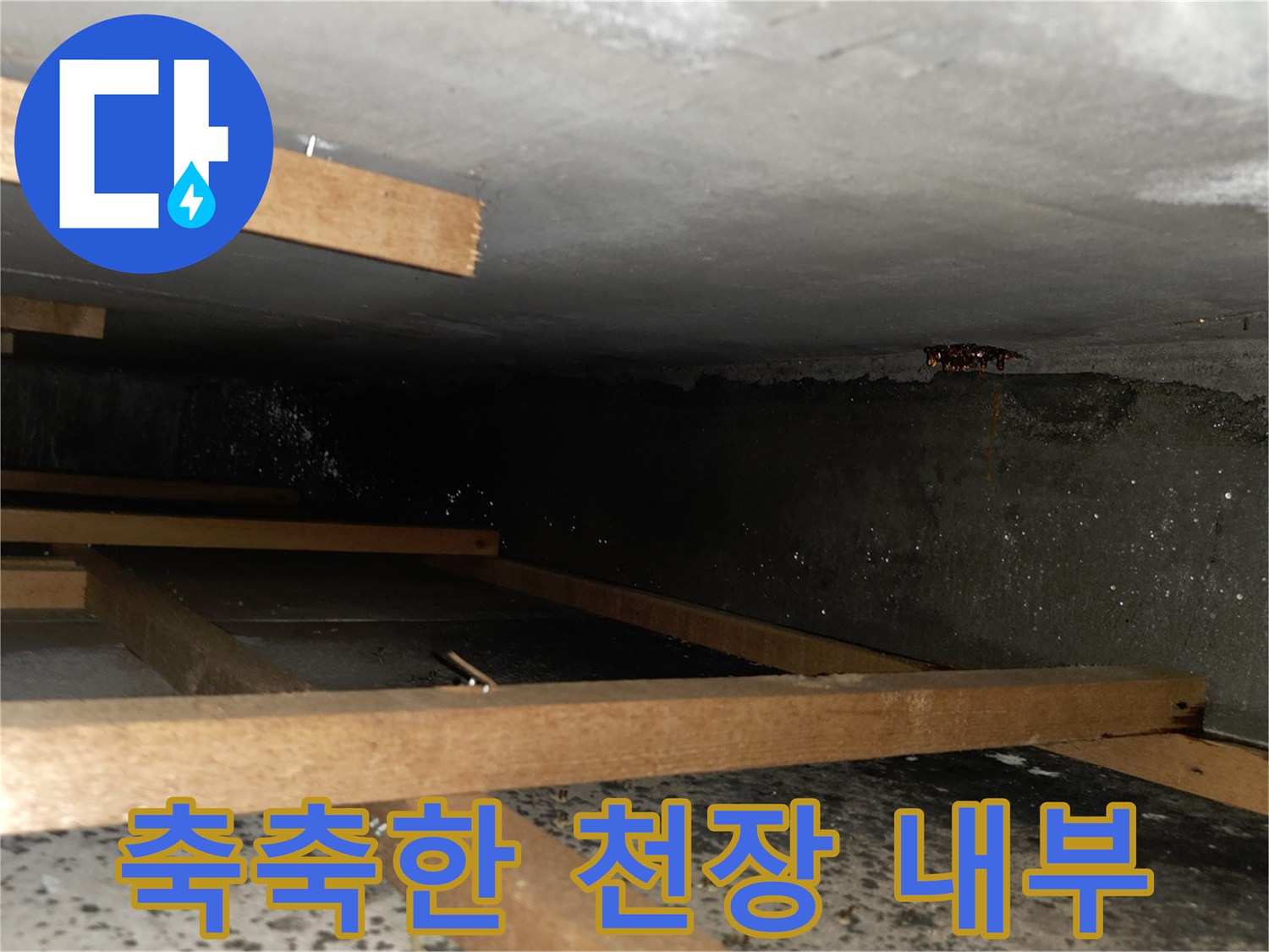 습기를 머금은-천장 콘크리트와 목재 구조물