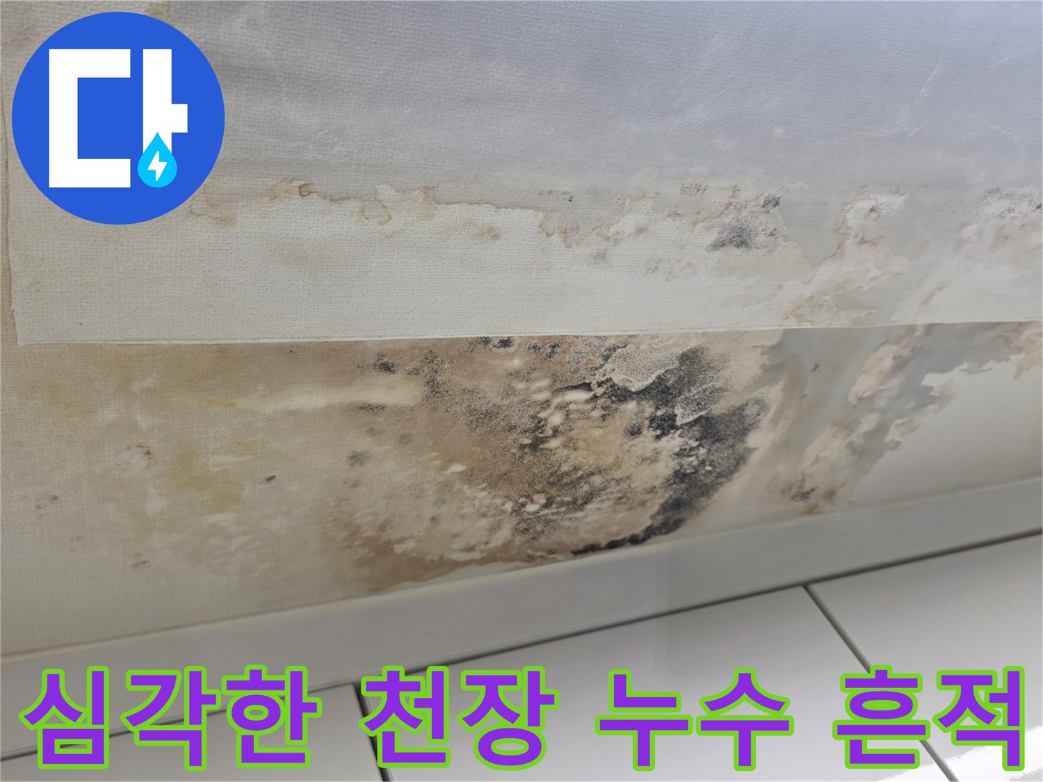 아랫집 거실과 세탁실-천장 누수 피해 및 곰팡이 현황