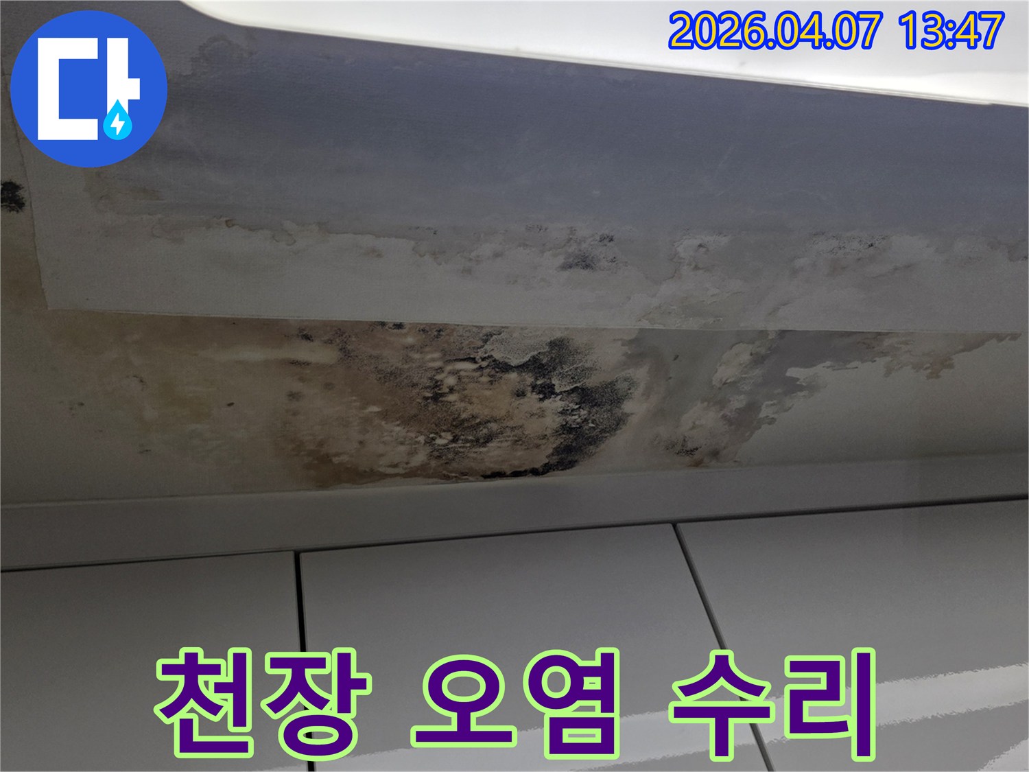 주택-천장에-발생한-누수로-인한-심각한-오염과-곰팡이-번식-현장-전문-수리-필요