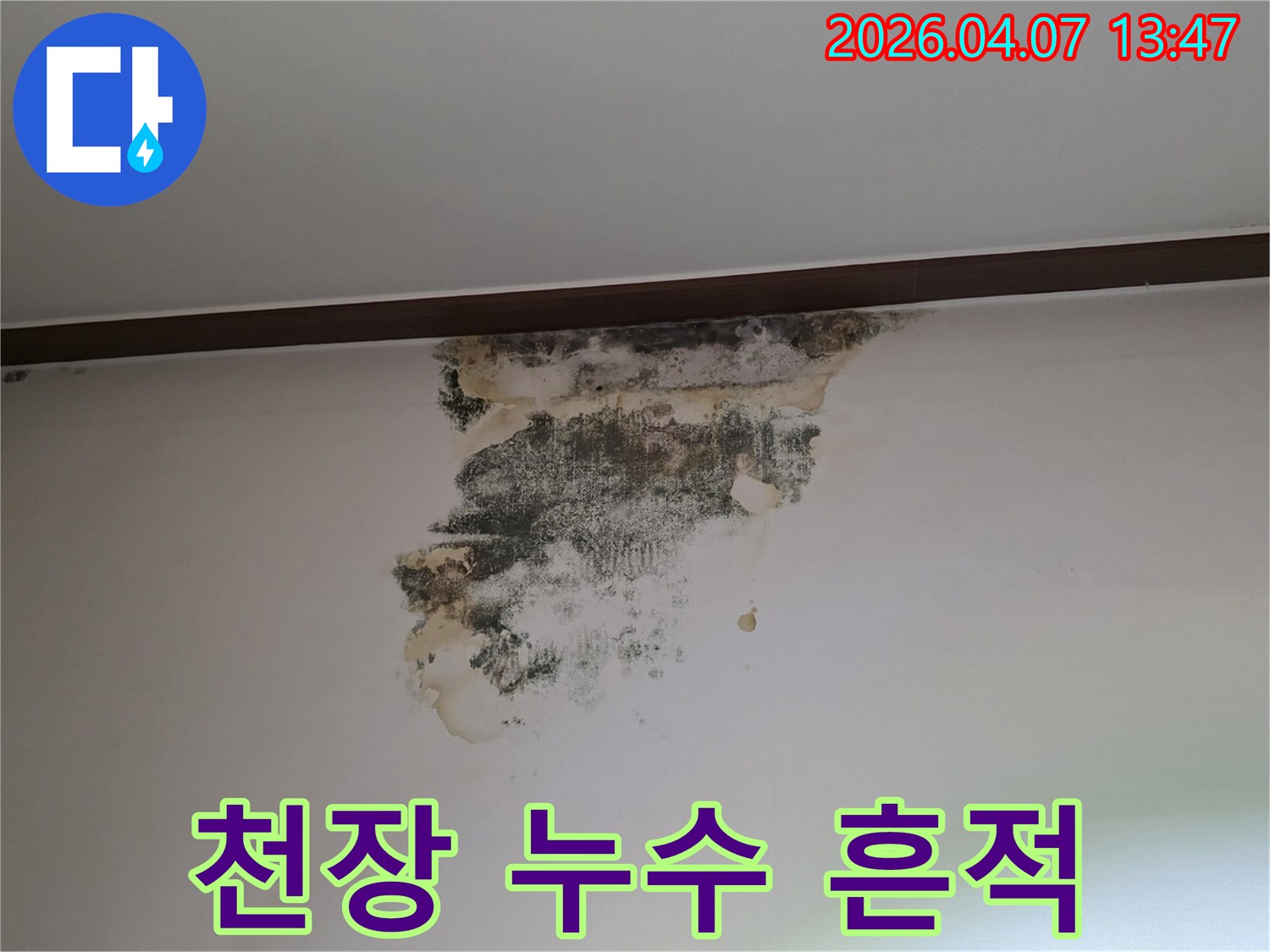 천장과-벽면-경계에-발생한-누수로-인한-물자국과-곰팡이-현상