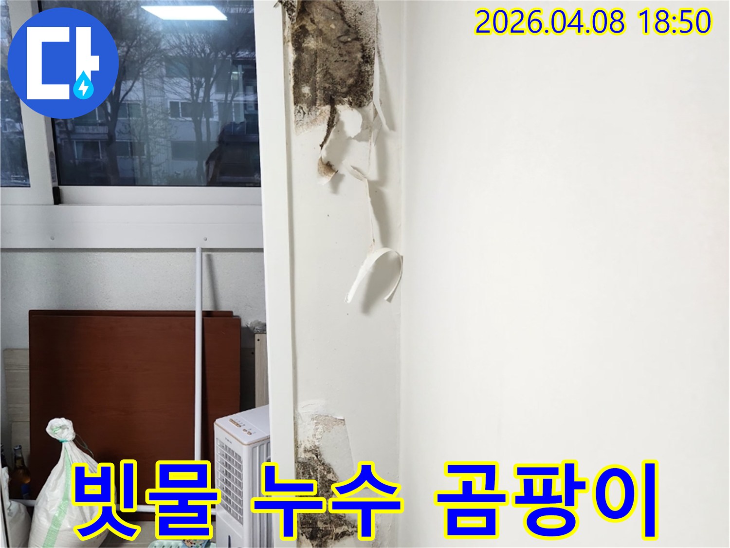 창문-옆-벽면에서-발생한-벽지-들뜸과-광범위한-곰팡이-오염을-보여주는-누수-현장-사진입니다