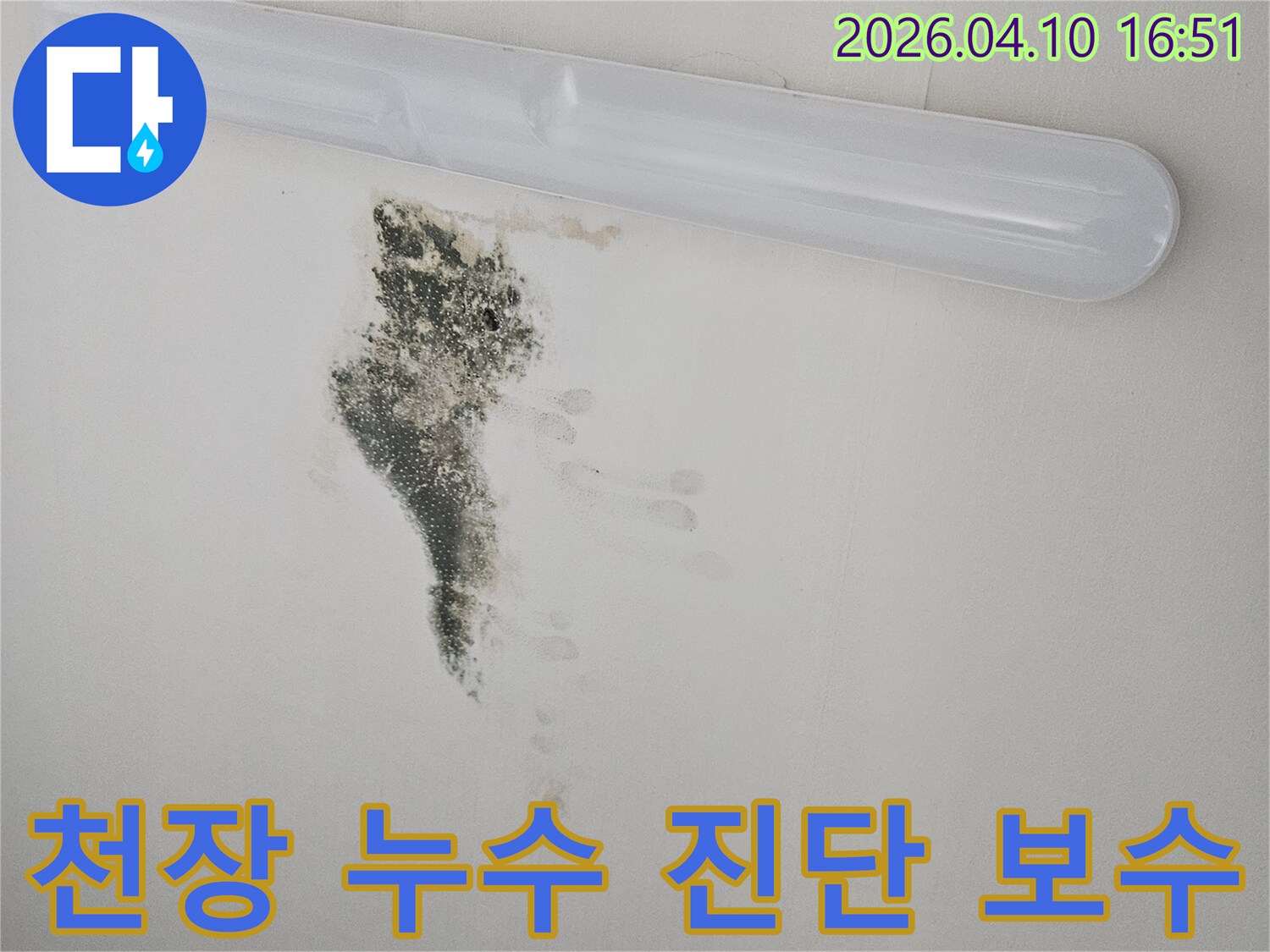 천장에 발생한 누수와 곰팡이 피해를 보여주는 사진-신속한 진단과 보수가 필요한 긴급 상황입니다