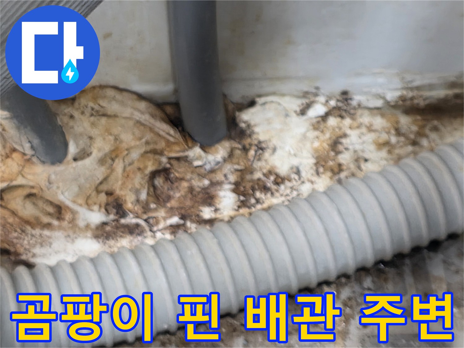 습기에-노출된-배관-주변의-오염-상태