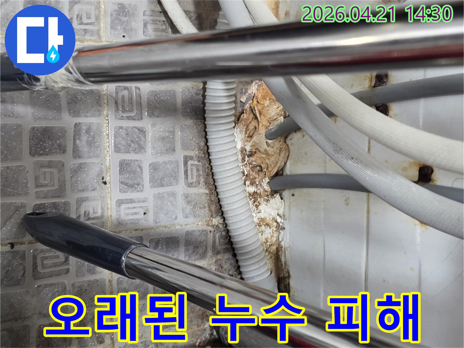 습기와-곰팡이로-오염된-싱크대-배관-누수-지점-확인