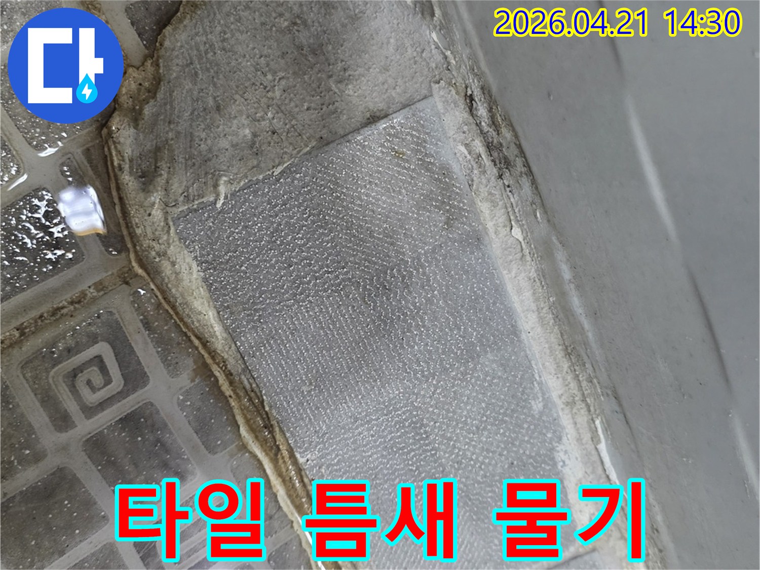 욕실-벽면과-바닥-경계에서-발견된-누수-시작점-사진