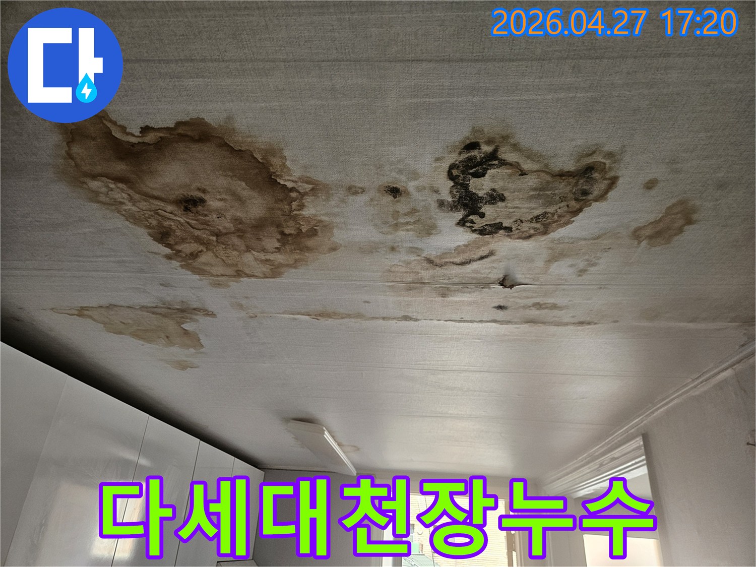 다세대주택 천장에-선명하게 나타난 누수 얼룩과-습기로 인한 변색-장기간 진행된 누수로 인한-내부 손상 가능성