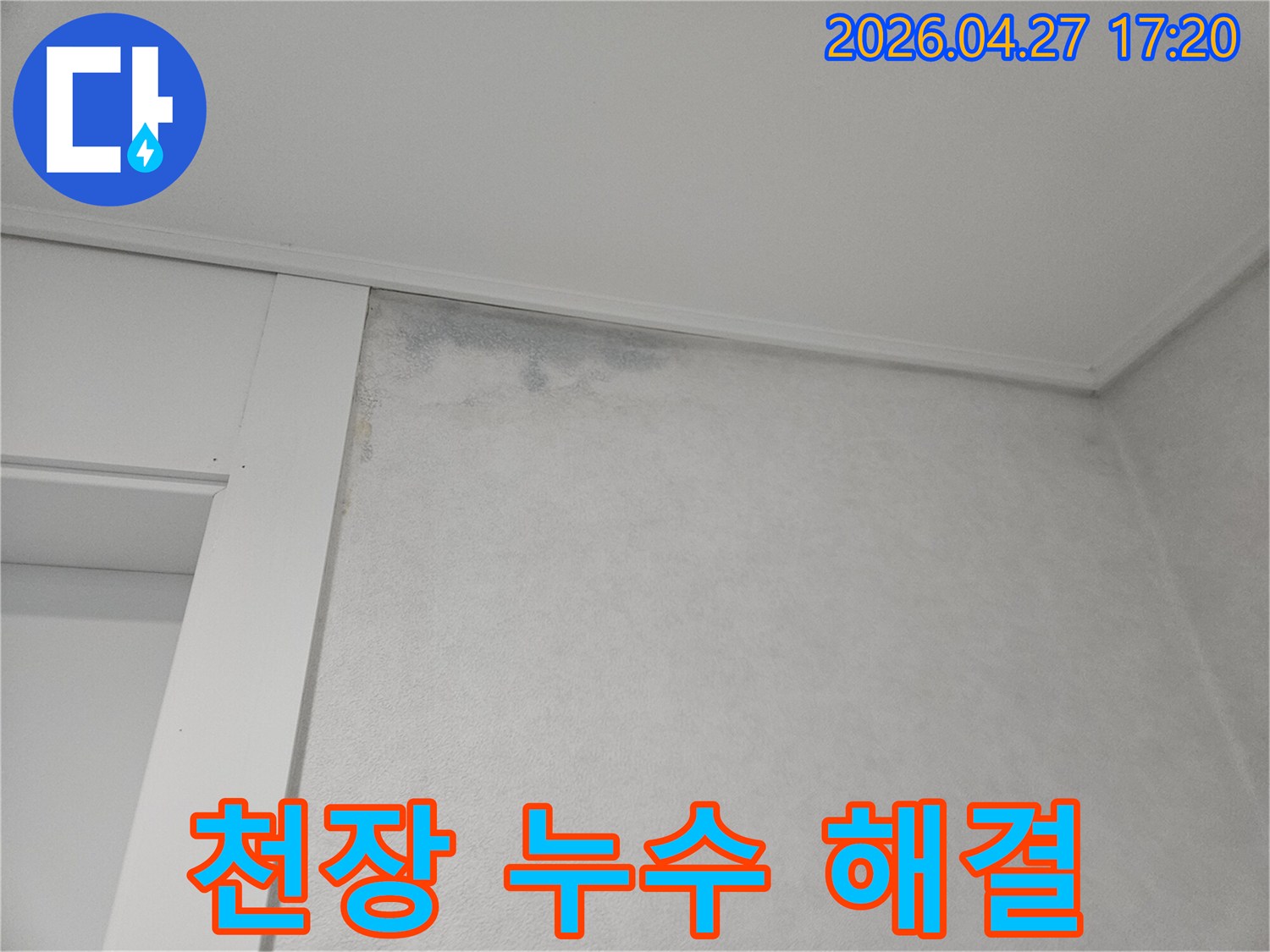 벽지-상단에-물에-젖어-변색된-부분과-곰팡이가-시작된-모습입니다.