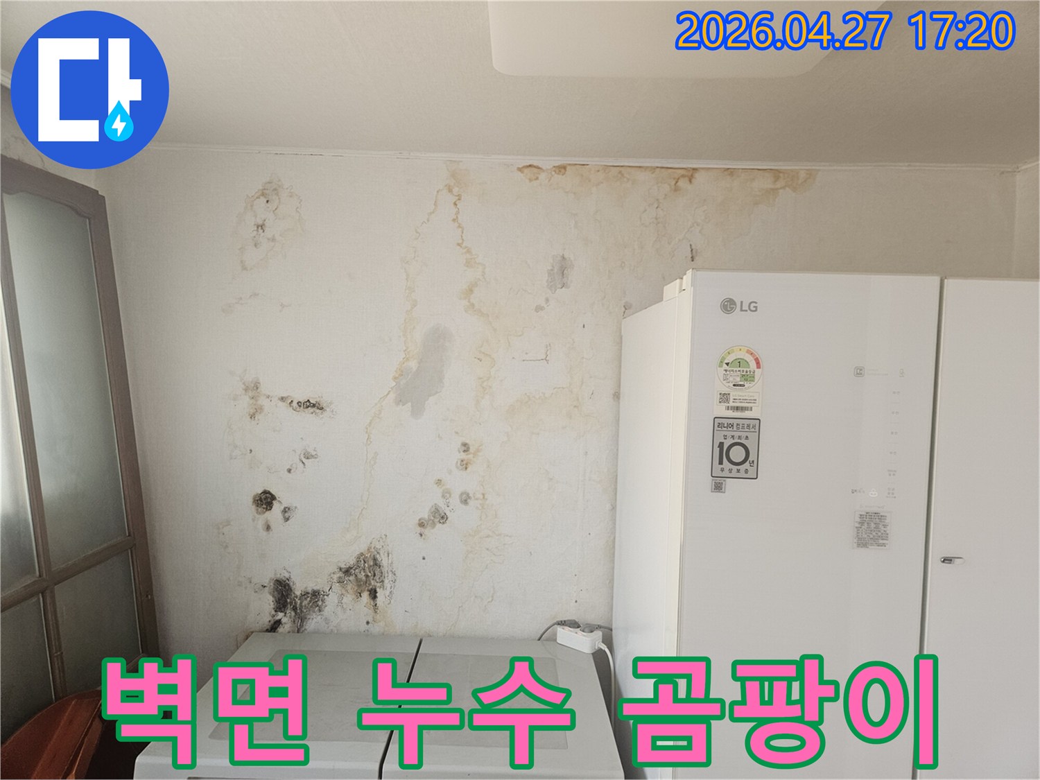 오랜-누수로-인해-벽면이-젖고-곰팡이가-심하게-번식한-현장-사진