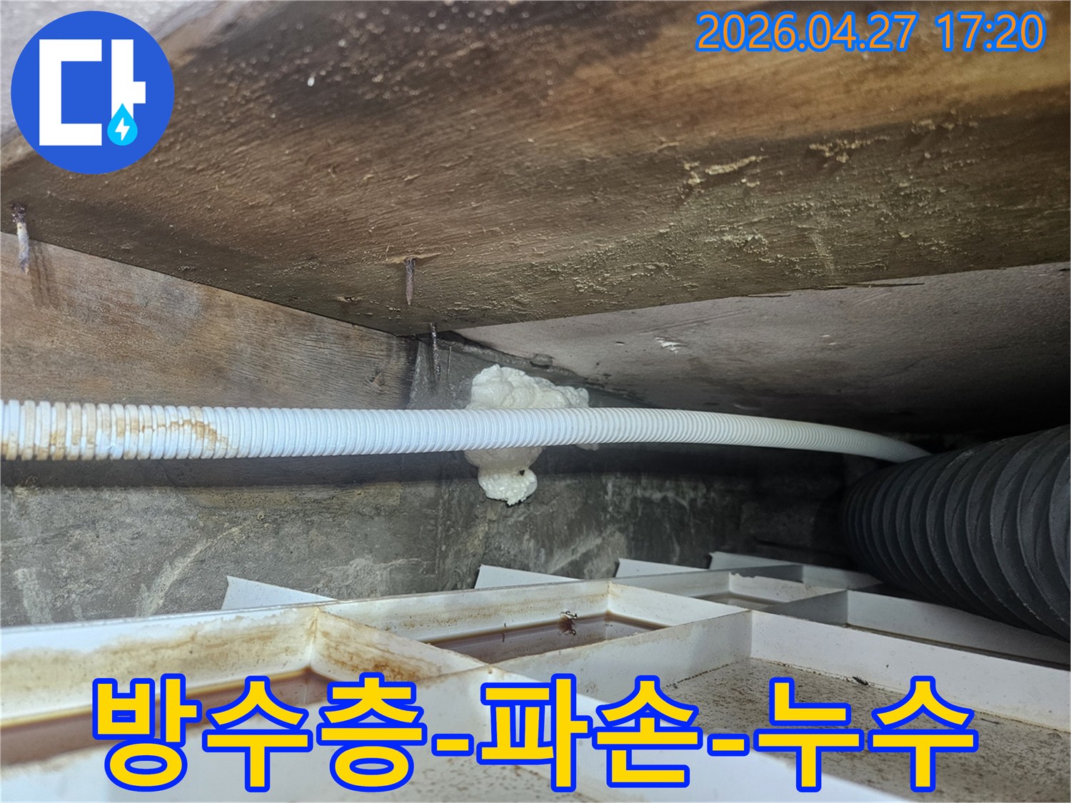 욕실-천장-누수-현장에서-방수층-파손-가능성을-염두에-두고-정밀하게-점검하는-전문가의-모습