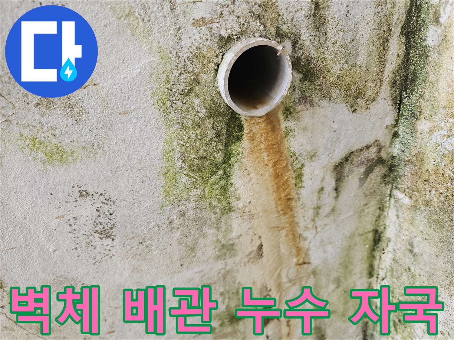 배관 주변 벽면의 곰팡이와 물때 오염 사진