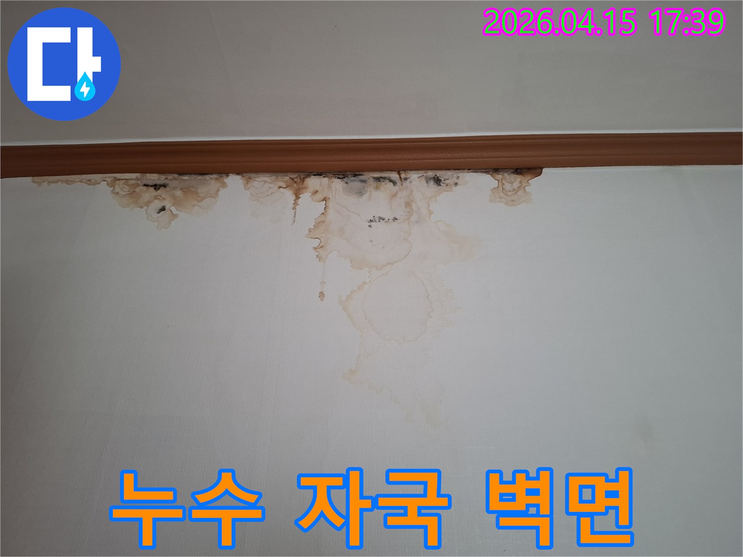 천장-근처-벽면에-물이-새어-들어와-벽지가-젖고-변색된-심각한-상황입니다.