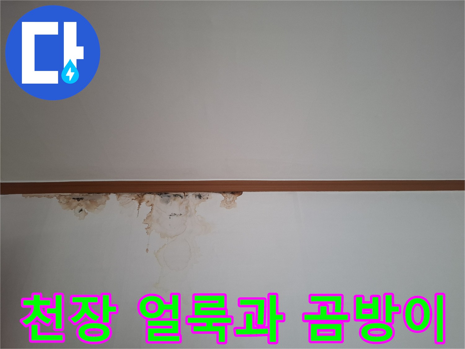 천장-벽면-경계부의-누수로-인한-곰팡이-번짐