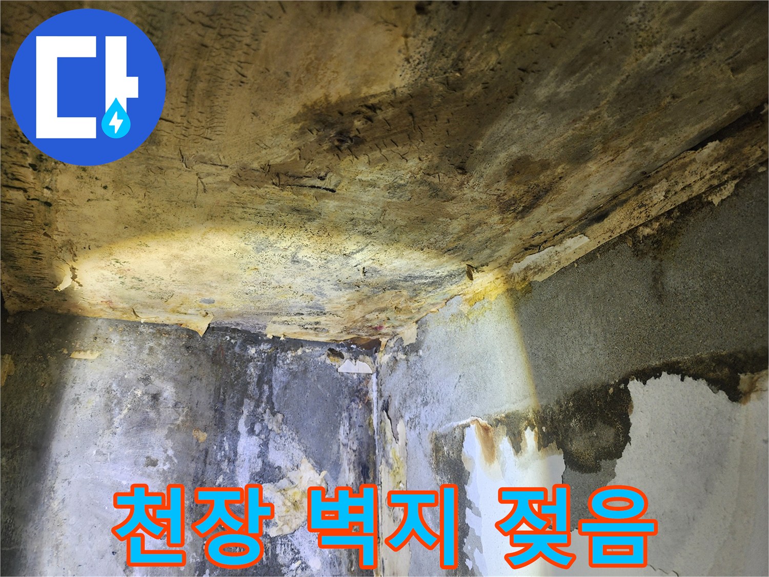 누수로 인해-천장과 벽면의 벽지가 젖고-곰팡이가 번식한 현장 모습