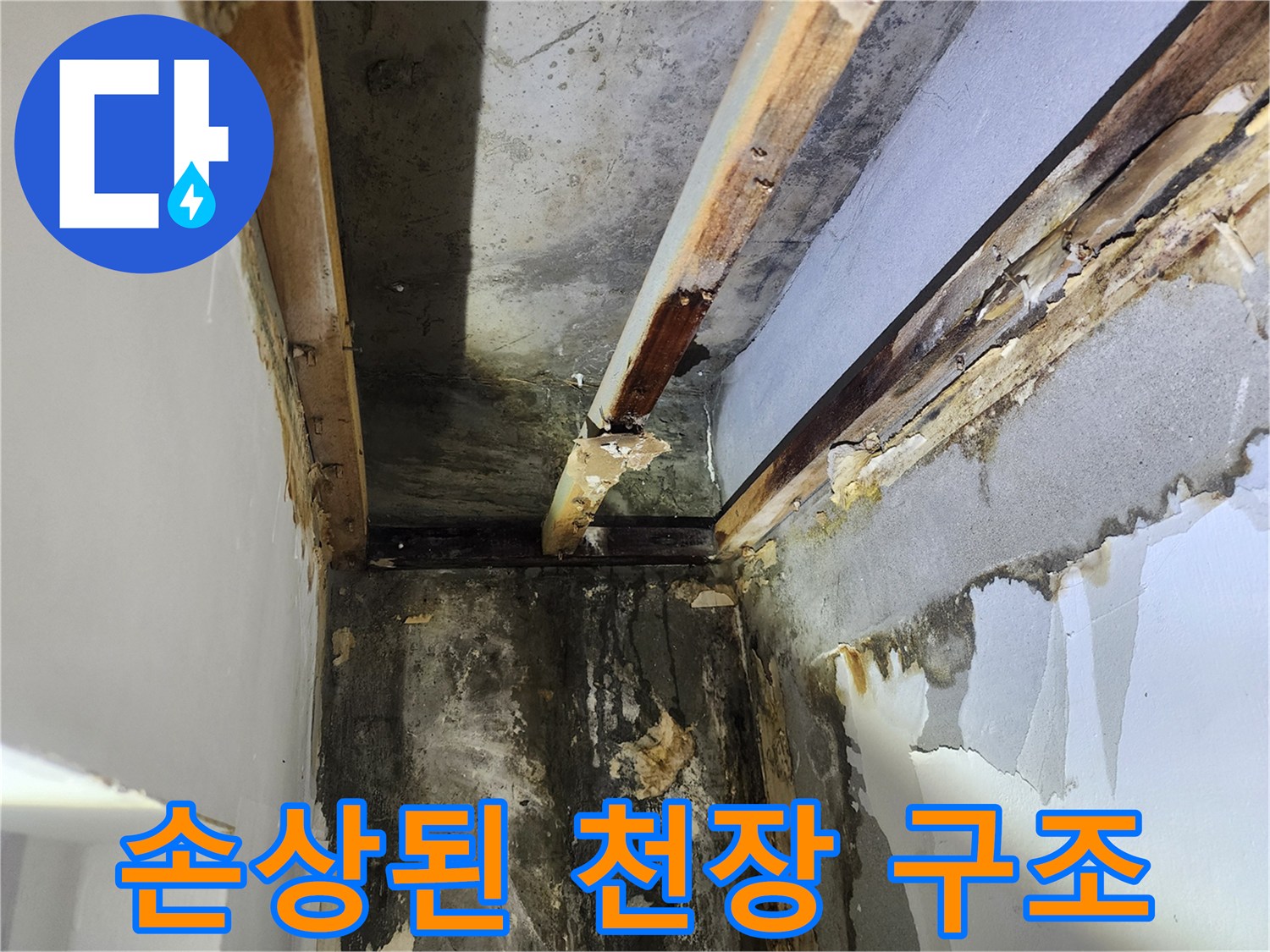 아파트-천장-누수-피해를-확인하기-위해-석고보드를-제거한-후-손상된-내부-구조