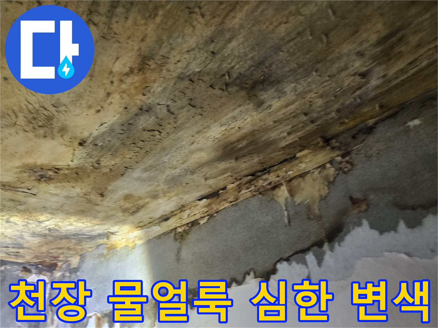 오래된-주택의-천장에서-발생한-누수로-인해-물얼룩과-심한-변색이-나타난-모습