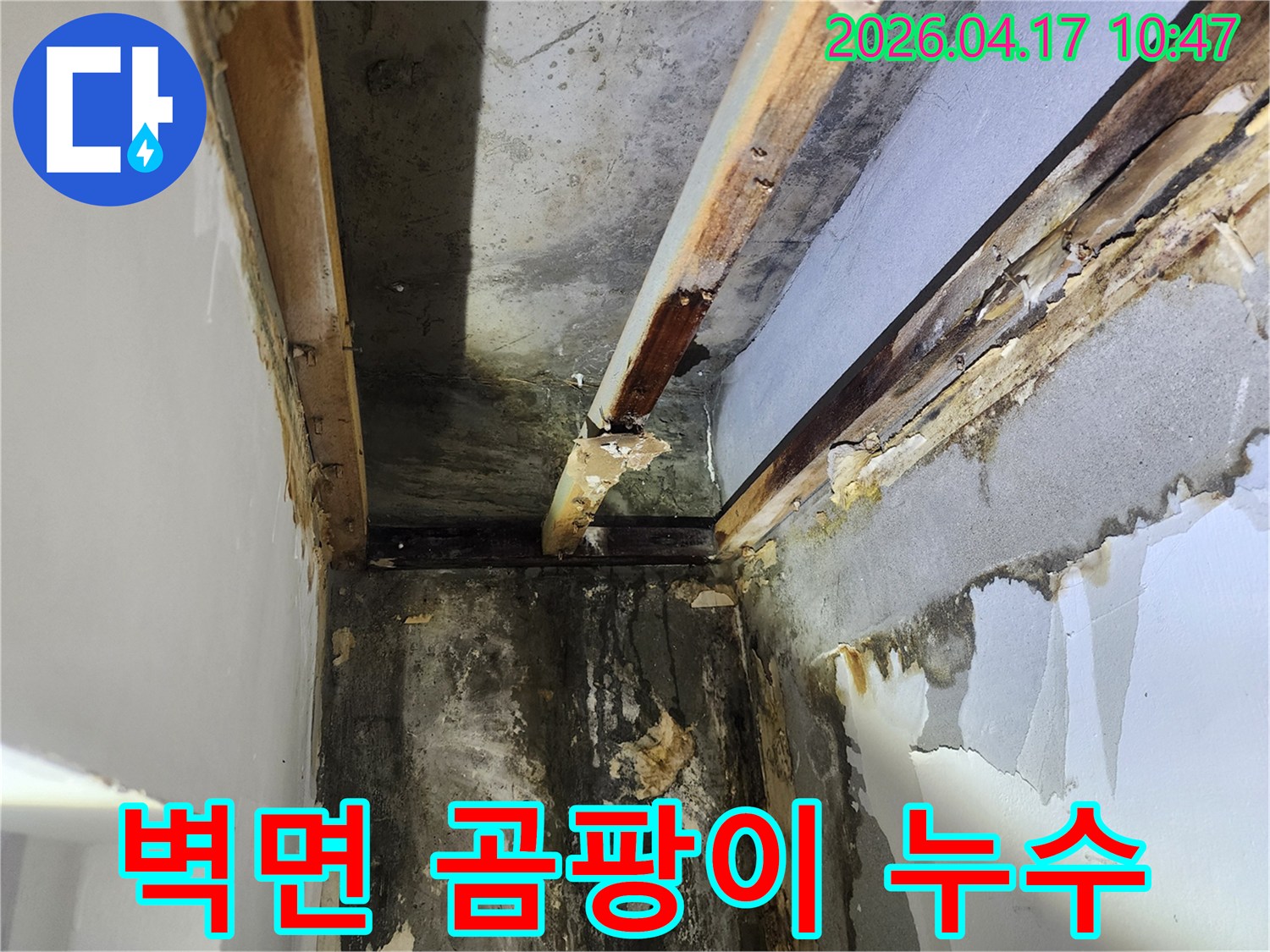 이 사진은-서초구 잠원동 빌라에서 발생한-천장 누수로 인한-심각한 벽면 곰팡이와-목재 부패 현장을 보여줍니다