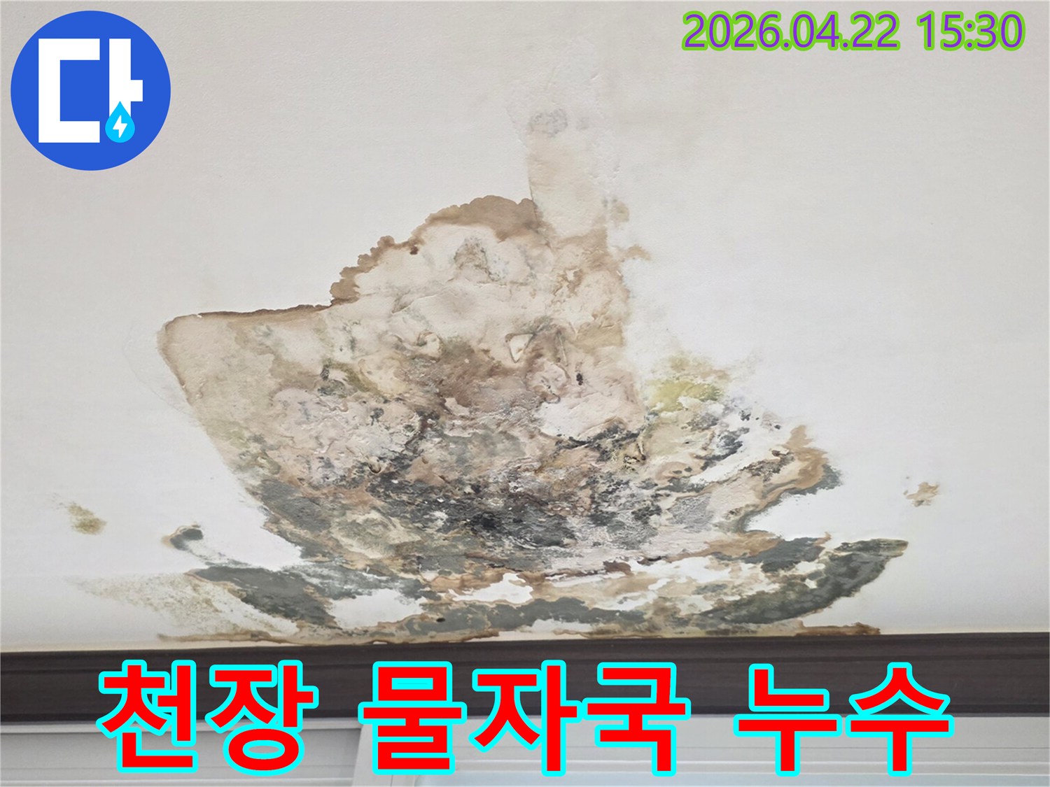 천장에-선명하게-남은-물자국과-곰팡이가-누수-문제를-명확히-보여줍니다