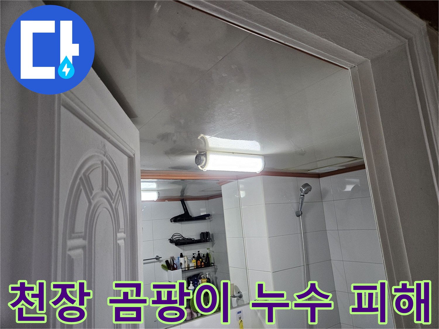 이 이미지는-안양 청호아파트-화장실 천장에-누수로 인해-발생한-심각한 곰팡이와-물자국을-보여줍니다.