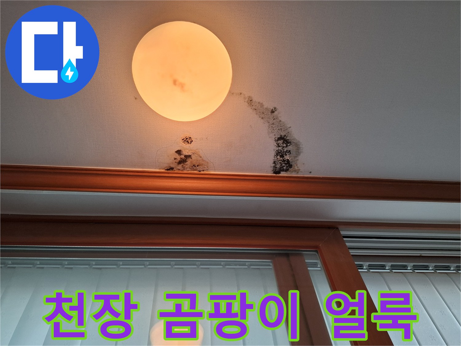 남양주 평내동 아파트 천장 곰팡이 및 물자국 현황