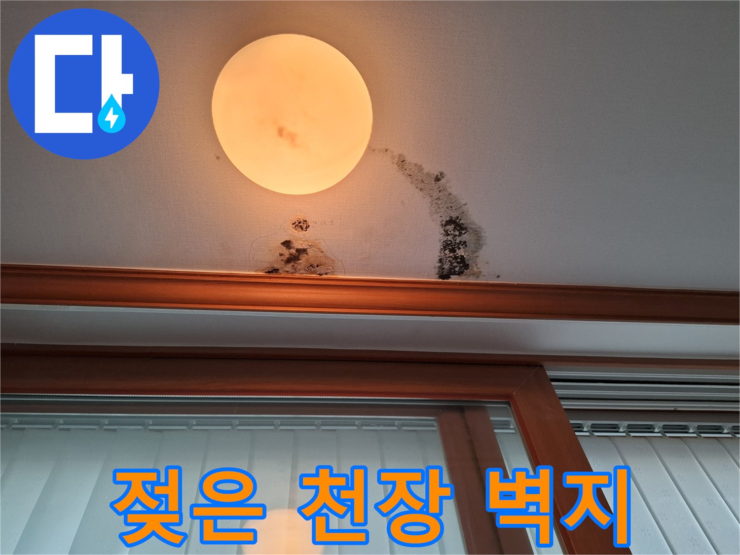 아파트 천장 전등 주변의 누수 및 곰팡이 발생 부위