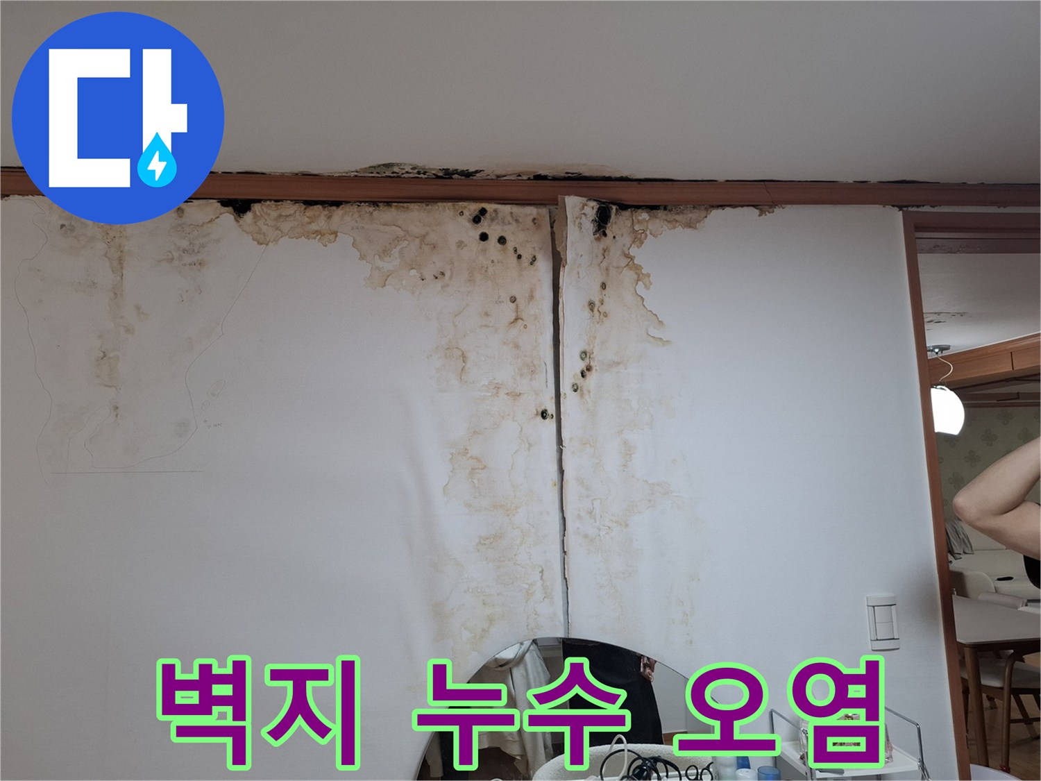 천장 몰딩 부근의 갈색 누수 흔적과 곰팡이 발생 부위