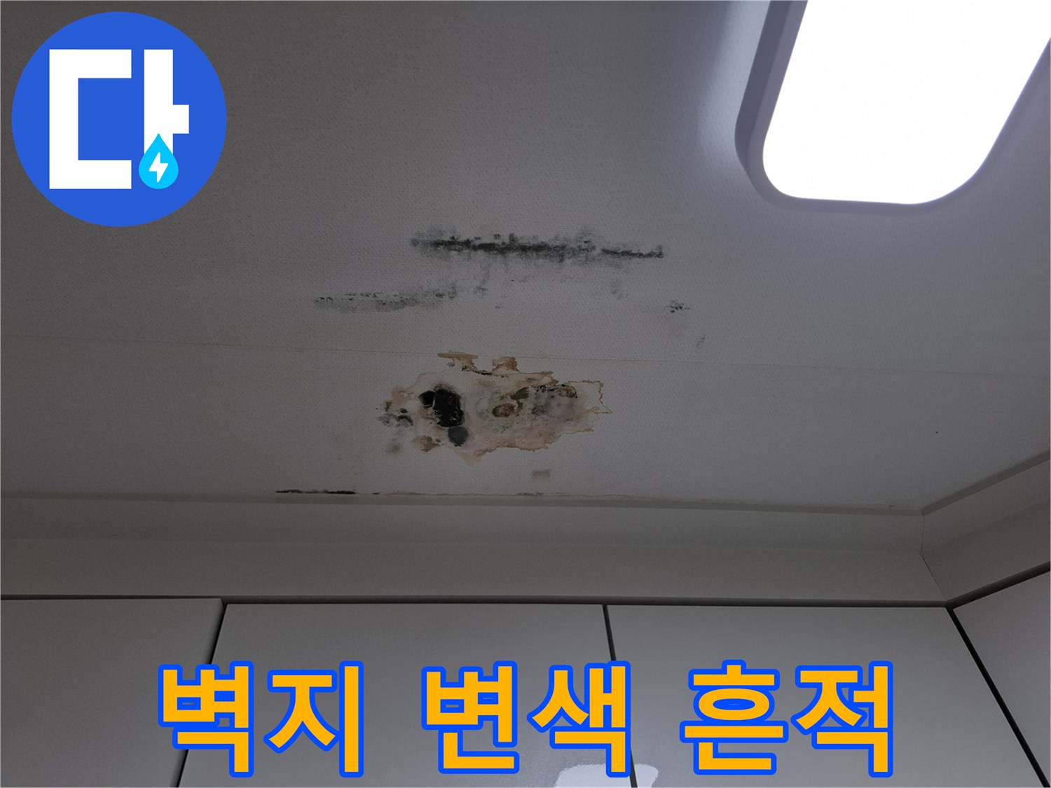 천장 벽지가 물에 젖어 갈색으로 변하고 곰팡이가 피어있는 사진