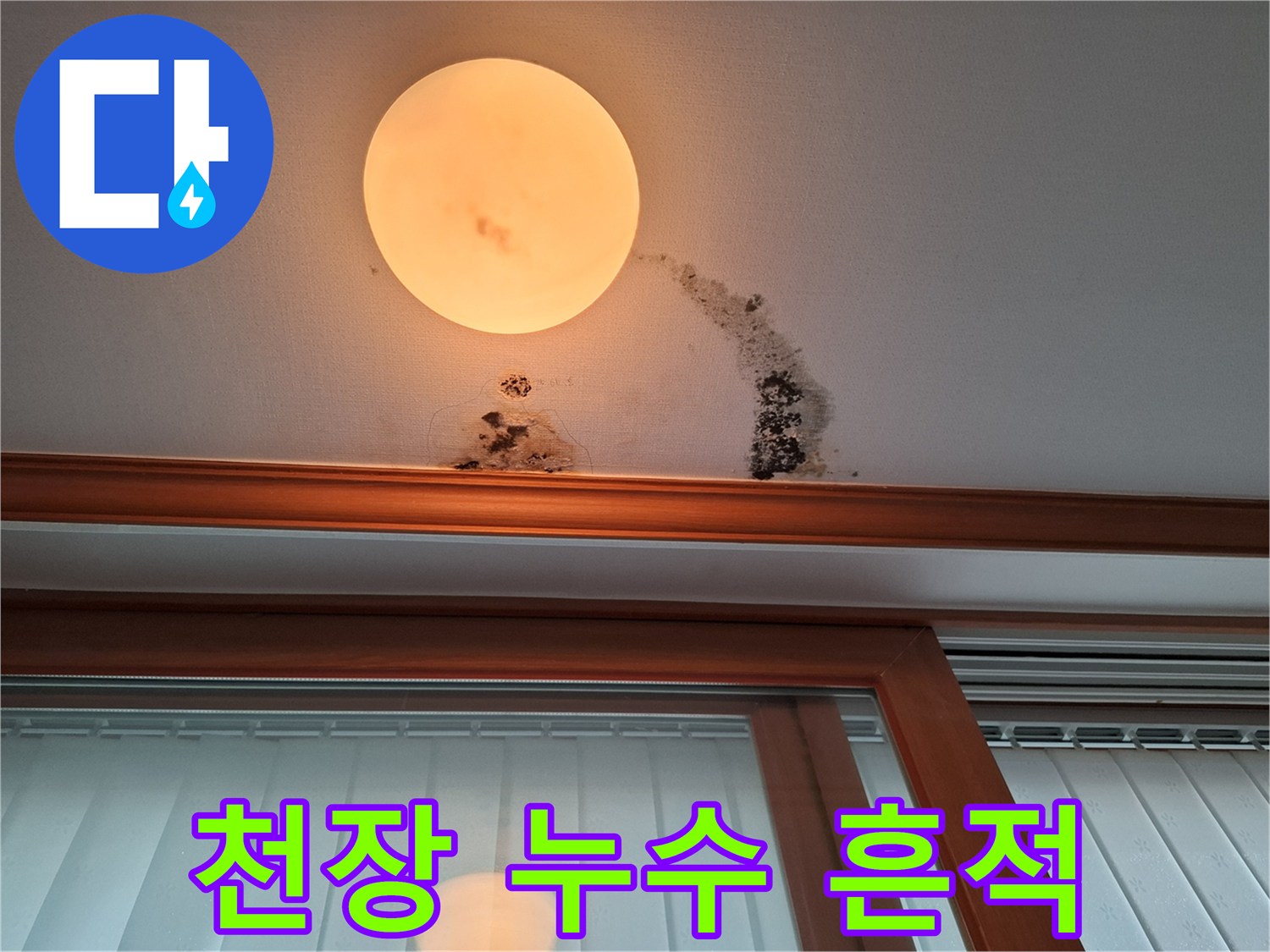 천장 조명 주변에 번진 갈색 얼룩과 곰팡이 상태