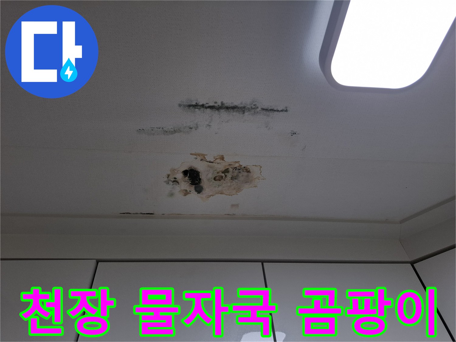 천장에 발생한 넓은 범위의 누수 흔적과 곰팡이