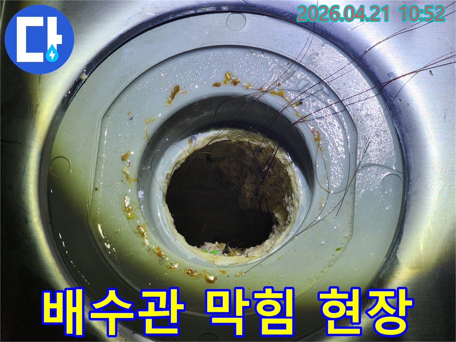 오랜 시간 축적된 머리카락과 슬러지로 막힌 배수관의 모습입니다-이로 인해 배수 문제가 발생하고 있습니다