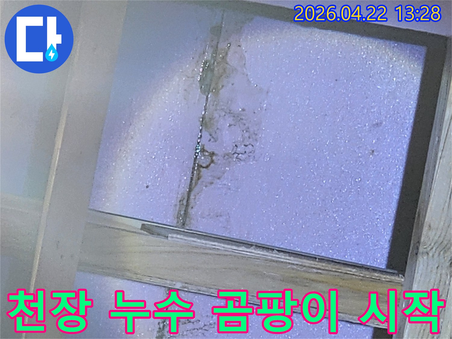 천장-단열재에-물이-스며들어-곰팡이가-시작된-모습을-보여주는-사진