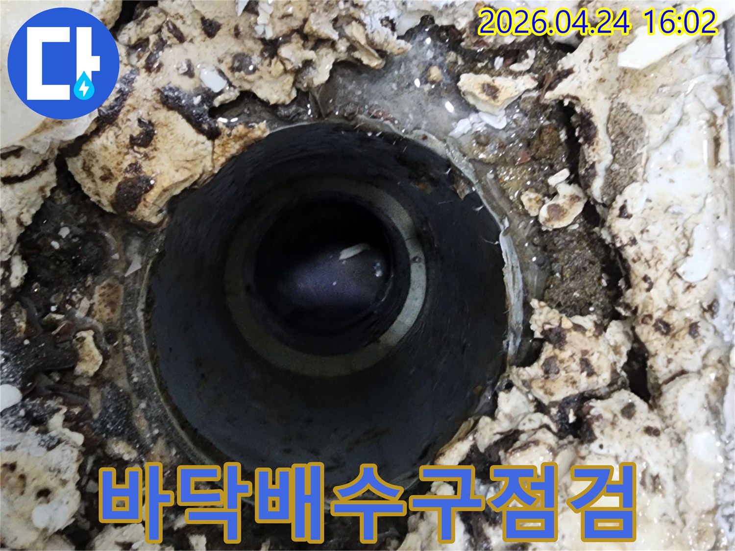 누수 전문가가 유가를 제거하고-배수관 상태를 점검하는 과정