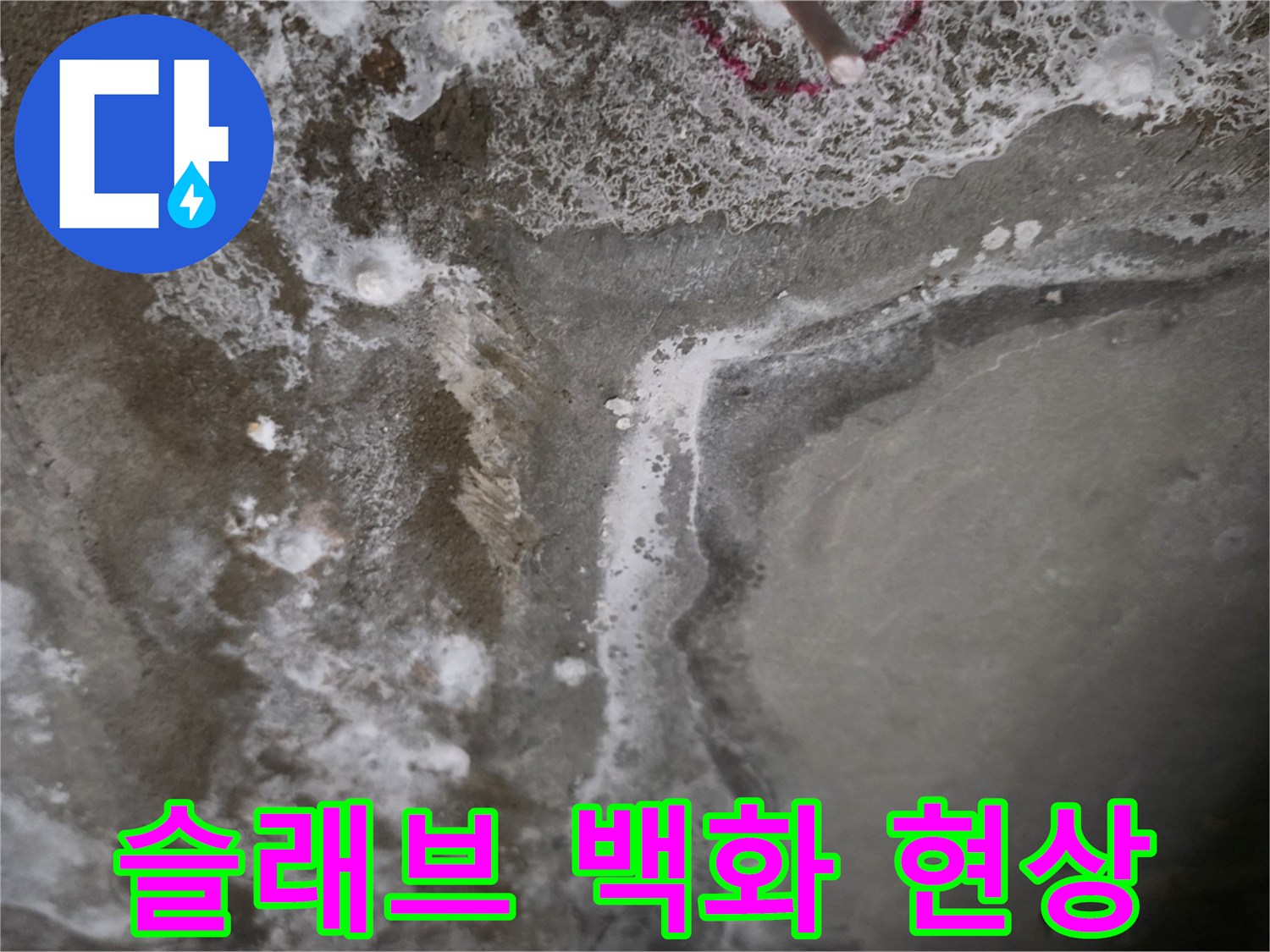 누수 탐지 중 발견한 - 콘크리트 층의 하얀 백화 자국과 습기
