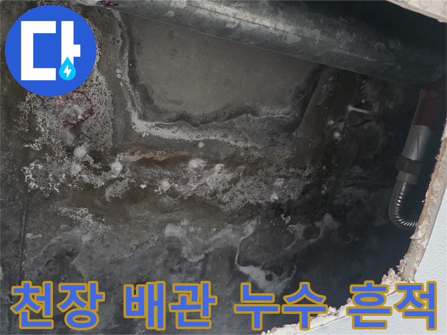 배관 주변의 젖은 벽면-누수가 발생한 천장 내부 모습