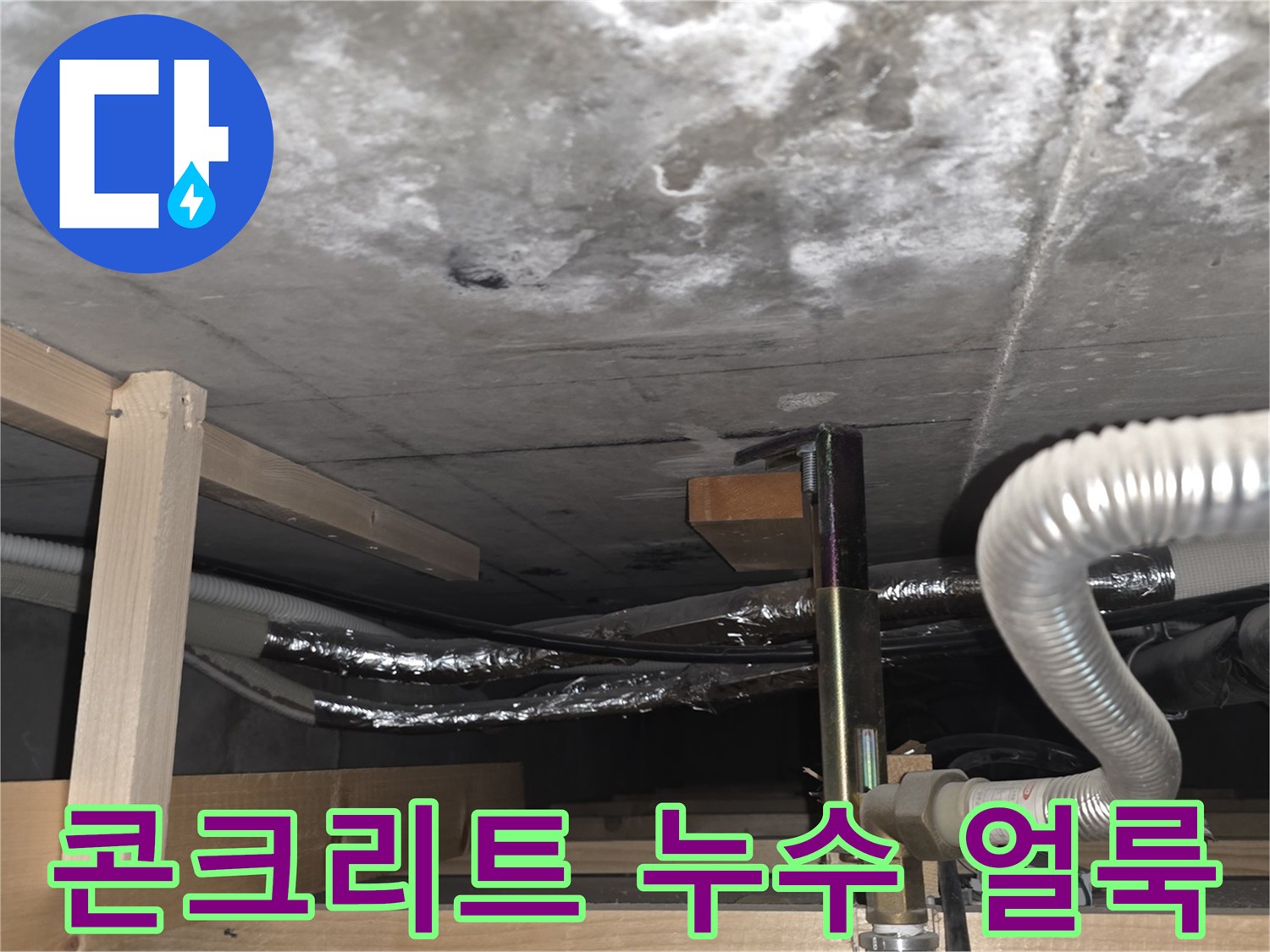 습기로 인해 하얗게 변한 콘크리트 천장 면의 모습
