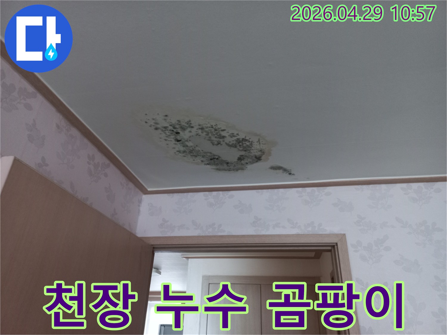 천장에-물이-새어-발생한-곰팡이와-얼룩이-선명한-모습입니다.