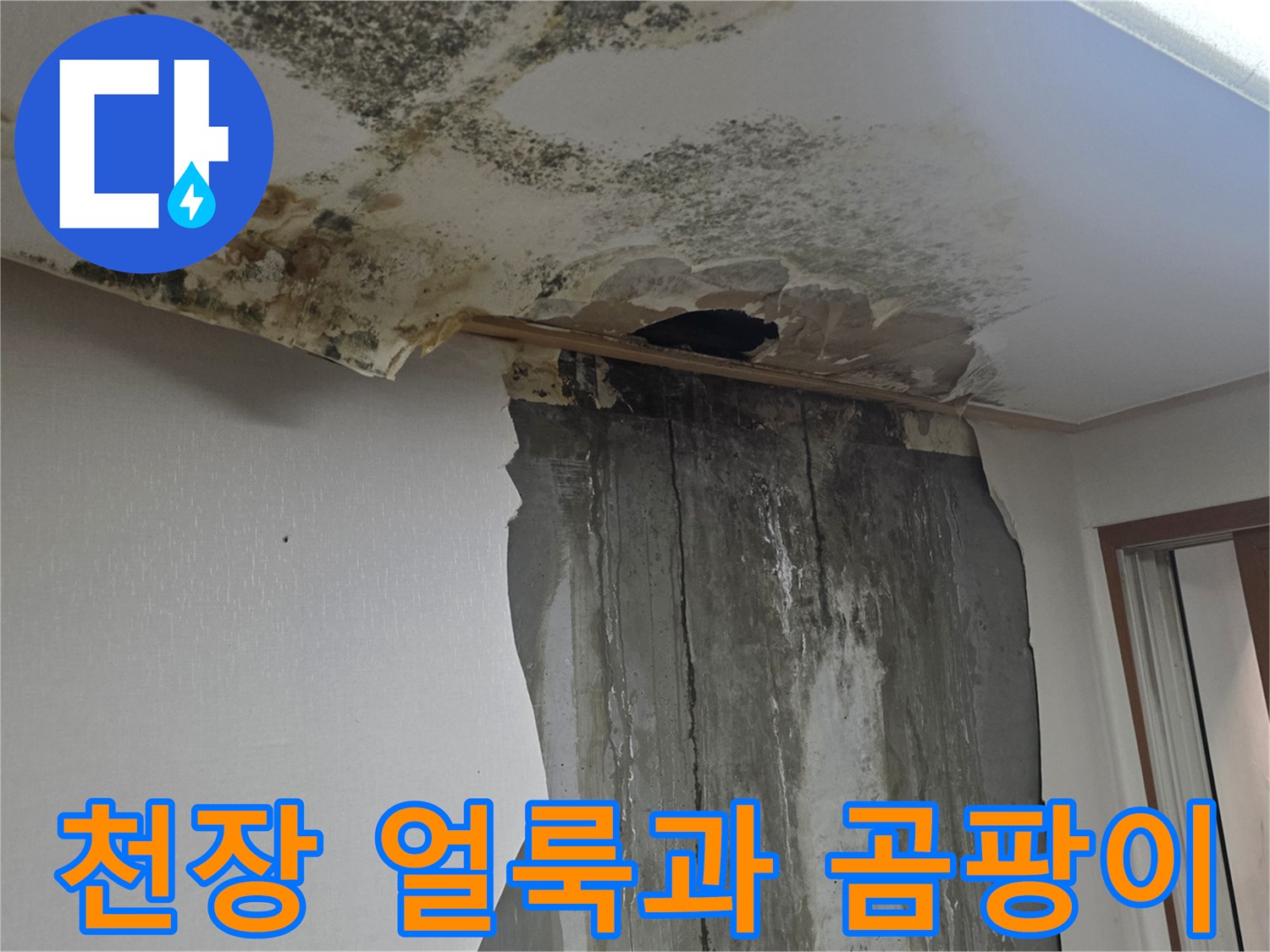 누수 피해 현장-천장에 발생한 곰팡이와 얼룩