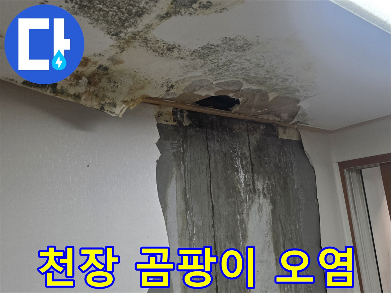 누수가 발생한 천장 - 곰팡이가 번진 벽지 표면